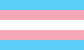 Transgender Pride Flag Face Paint Stamp