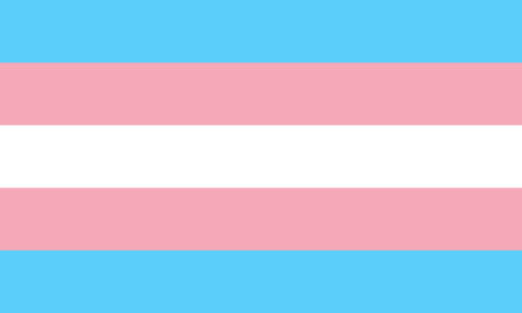 Transgender Pride Flag Face Paint Stamp