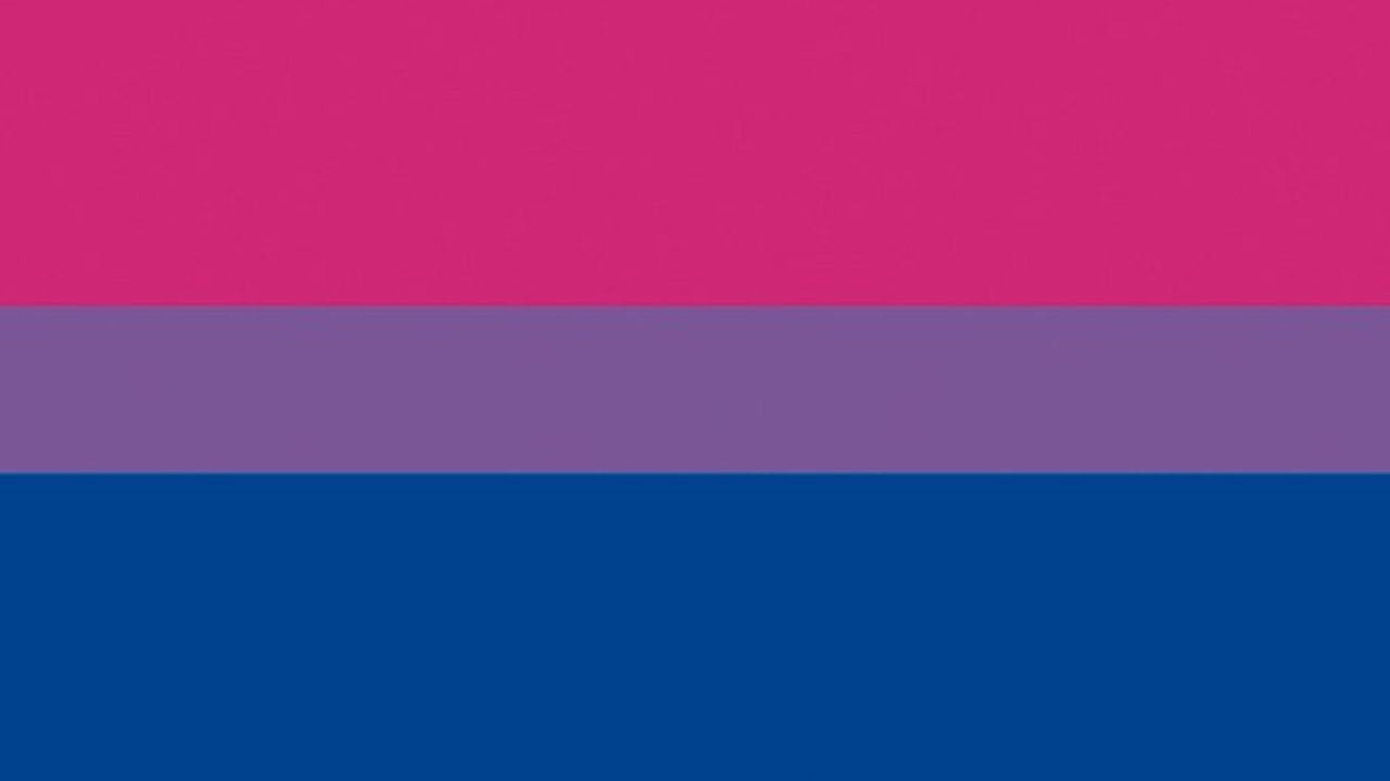 Bisexual Pride Flag Face Paint Stamp