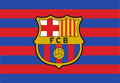 FC Barcelona Face Paint Stamp — Soccer Fan Gear
