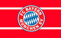 Bayern Munich Face Paint Stamp — Soccer Fan Gear