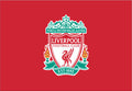 Liverpool FC Face Paint Stamp — Soccer Fan Gear