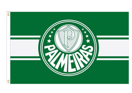 Palmeiras Face Paint Stamp — Soccer Fan Gear